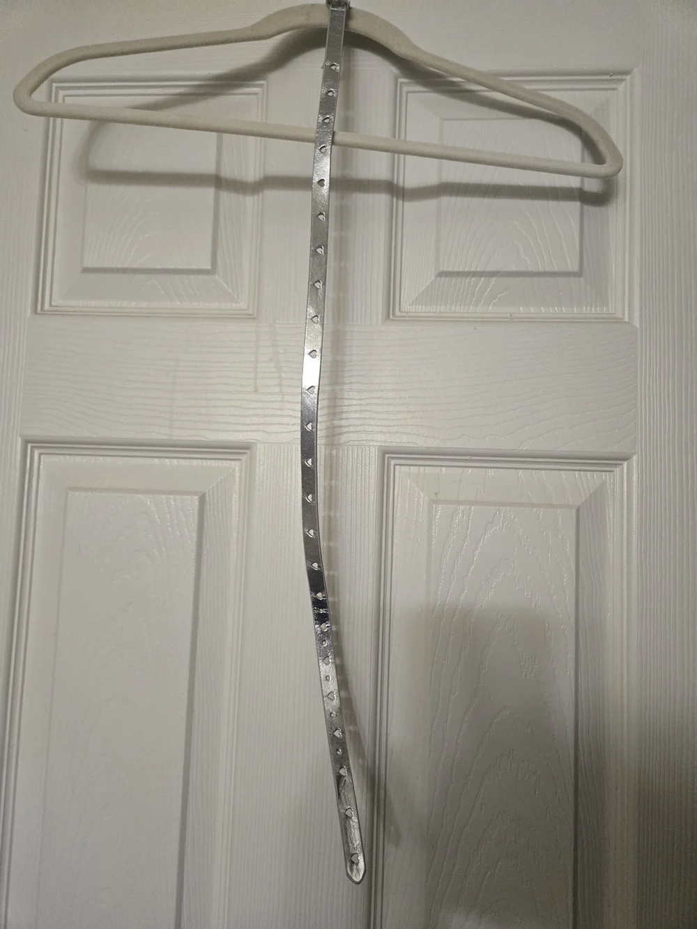 OshKosh B'gosh Metallic Silver Kids Belt